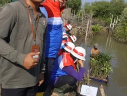 KJG Tanam 1.000 Mangrove di Semarang, Tegaskan Komitmen pada Lingkungan Pesisir