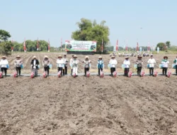 Penanaman Jagung Bersinergi Dengan Ponpes, Bukti Nyata Seluruh Komponen Bangsa Wujudkan Swasembada Pangan