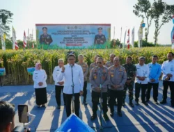 Panen Raya Jagung di Malang, Wujud Nyata Komitmen Polri dalam Ketahanan Pangan Nasional