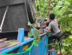 Truk Bermuatan Pupuk Masuk Jurang Letter S Cikidang, Diduga Mobil Alami Rem Blong
