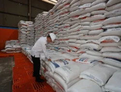 Pj Gubernur Papua Agus Fatoni Tinjau Gudang Bulog, Pastikan Stok Beras Aman Hingga Empat Bulan Kedepan