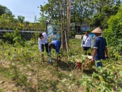 Hasilkan Buah Keringat, Lapas Cilegon Panen Terong untuk Ketahanan Pangan