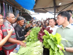 Disambut Antusias Pedagang, Wapres dan Pj Gubernur Papua Agus Fatoni Kunjungi Pasar Induk Yotefa