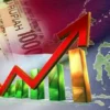 Efisiensi Anggaran, Kunci Optimalisasi Pembangunan Ekonomi Indonesia