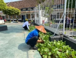 Lahan Terbatas Bukan Halangan, Rutan Surakarta Buktikan Dukungan pada Program Ketahanan Pangan