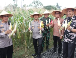 Panen Raya Jagung Serentak Kuartal III Digelar di Kota Tangerang: Wujud Komitmen Polri Dukung Ketahanan Pangan Nasional