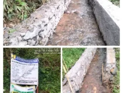 Irigasi Terealisasi, Lahan Terbengkalai di Cigudeg Kembali Produktif
