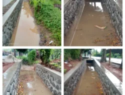 Saluran Air Proyek Desa Tonjong Diduga Buruk, Jadi Sarang Nyamuk