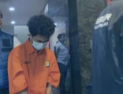 Pemerhati Digital Nilai Tepat Polisi Tangkap Hacker @bjorkanesiaaa, Ini Penjelasannya