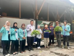 Panen Sayuran Hidroponik, WBP Rutan Surakarta Wujudkan Kemandirian Lewat Pemberdayaan Bersama Mahasiswa UNS