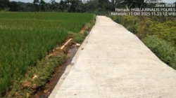 Pembangunan Jalan Desa Cipicung Dapat Pujian, Akses Kampung Kini Makin Mudah