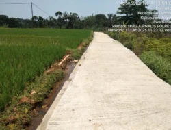 Pembangunan Jalan Desa Cipicung Dapat Pujian, Akses Kampung Kini Makin Mudah
