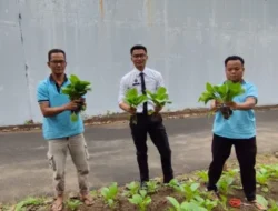 Hijaukan Harapan – Panen Sawi di Lapas Cilegon Jadi Bukti Ketahanan Pangan Warga Binaan