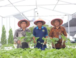 Hijau Tumbuh di Balik Tembok: Panen Pakcoy Hidroponik Warnai Lapas Kelas I Tangerang