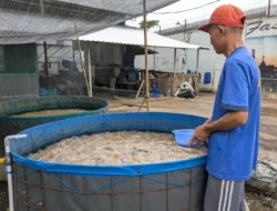 Lapas Kelas IIA Purwokerto Wujudkan Ketahanan Pangan Melalui Budidaya Ikan