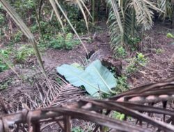 Polisi Buru Orang Tua Pembuang Bayi Malang di Jalan Perwira Sungai Pinang