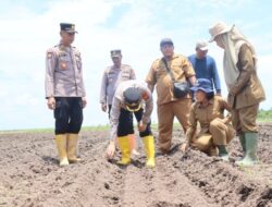 Jelang Penanaman Serentak, Kapolres Dumai Tinjau Kesiapan Lahan Jagung di Medang Kampai 