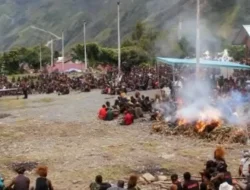 Kodim 1714/Puncak Jaya Bantu Masyarakat Gelar Acara Bakar Batu Adat di Kabupaten Puncak Jaya