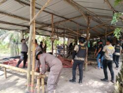 Polres Kampar Obrak-abrik Judi Sabung Ayam di 2 Desa