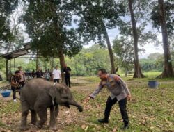 Sembari Patroli, Kapolda Riau Kunjungi Keluarga Gajah di TWA Buluh Cina