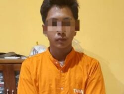 Amankan 18,43 Gram BB, Polsek Tapung Hilir Tangkap Pengedar Gaun Ganja Kering