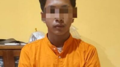 Amankan 18,43 Gram BB, Polsek Tapung Hilir Tangkap Pengedar Gaun Ganja Kering