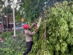 Tim SAR Ditsamapta Patroli Jaga Jakarta Tangani Pohon Tumbang di Jakpus