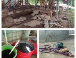 Bukti Ada, Wartawan Diperiksa: Aparat Dinilai Gagal Mengusut Dugaan Kejahatan di Rumah Oknum Kades