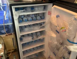 Satreskrim Polres Metro Tangerang Kota Ungkap Gudang Pengelolaan 30.000 Benih Lobster Ilegal