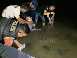 Polres Metro Tangerang Kota Lepasliarkan Ribuan Benih Lobster Hasil Ungkap Kasus Perikanan