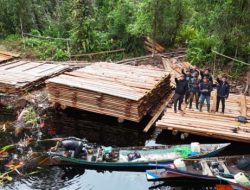 300 Meter Kubik Kayu Ilegal Disita di Inhu, KLH: Setara 120 Pohon Tumbang
