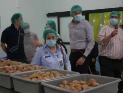 Indonesia Balikkan Peta: Jepang Studi Banding Program MBG Capai 60 Juta Anak