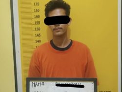 Curi 24 Tandan Sawit di Kebun Cempaka, Pelaku Diamankan Polsek LTD