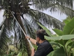 Panen Raya Serentak Kemenimipas, Hasil Panen Lapas Binjai Untuk Masyarakat Terdampak Bencana