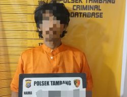 Polsek Tambang Tangkap Pelaku Pencurian Berondolan Sawit, Tiga DPO