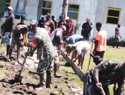 Perkokoh Kemanunggalan, Babinsa Koramil Kokonao Bersama Warga Binaan Gotong Royong Cor Jalan Gereja