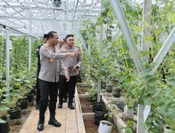 Kapolda Metro Jaya Sambangi Green House Perumahan Bekasi, Dukung Program Pangan Mandiri