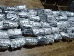 Polsek Batuceper Amankan 49.500 Butir Tramadol Ilegal, Diduga Jaringan Peredaran Obat Keras