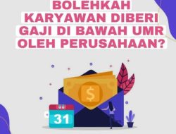 Buruh Digaji Rp 40 Ribu Per Hari, Perusahaan Olah Walet Diduga Tanpa Sistem Upah Jelas