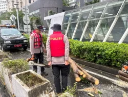 Gerak Cepat Ditsamapta Tangani Pohon Tumbang di Halte MRT Setiabudi Astra