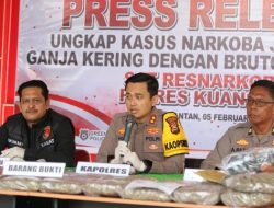 Polres Kuansing Bongkar Peredaran Ganja 22,5 Kg, Kapolres Tegaskan Perang Total Narkoba