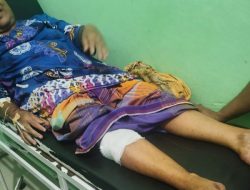 Warga Diterkam Buaya di Sungai Kuantan, Kapolsek Imbau Masyarakat Tingkatkan Kewaspadaan