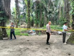 Panggil Pemilik Arena, Polsek Kerumutan Pasang Police Line di Arena Judi Sabung Ayam dan Lempar Dadu Bukit Lembah Subur