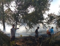 Gerak Cepat Polsek Bungaraya Padamkan Titik Api di Kampung Benayah, Karhutla Berhasil Dikendalikan