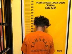 Diduga Curi TBS Sawit, Seorang Pemuda Diamankan Polsek LTD