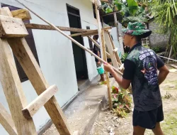 Personel TMMD Ke-127 Kodim 1514/Morotai Laksanakan Pengecatan RTLH di Desa Mandiri