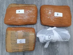 Polda Metro Jaya Menggagalkan Peredaran 3 KG Ganja Di Tanah Abang