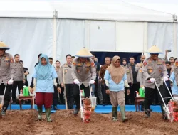 Sukses Pada Penanaman Jagung Tahun 2025, Polda Metro Jaya Menambah Jumlah Lahan Menjadi 50 Hektar pada Tanam Raya Jagung Serentak Kuartal I di Bekasi Tahun Ini