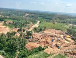 Polda Lampung Tetapkan 14 Orang Tersangka Terkait Tambang Emas Ilegal