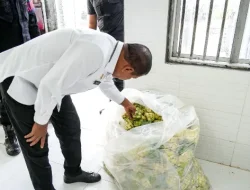 Dirjen PAS Pastikan Kesiapan Layanan Kunjungan Idul Fitri 1447 H di Lapas Cilegon